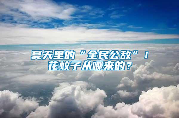 夏天里的“全民公敵”！花蚊子從哪來的？